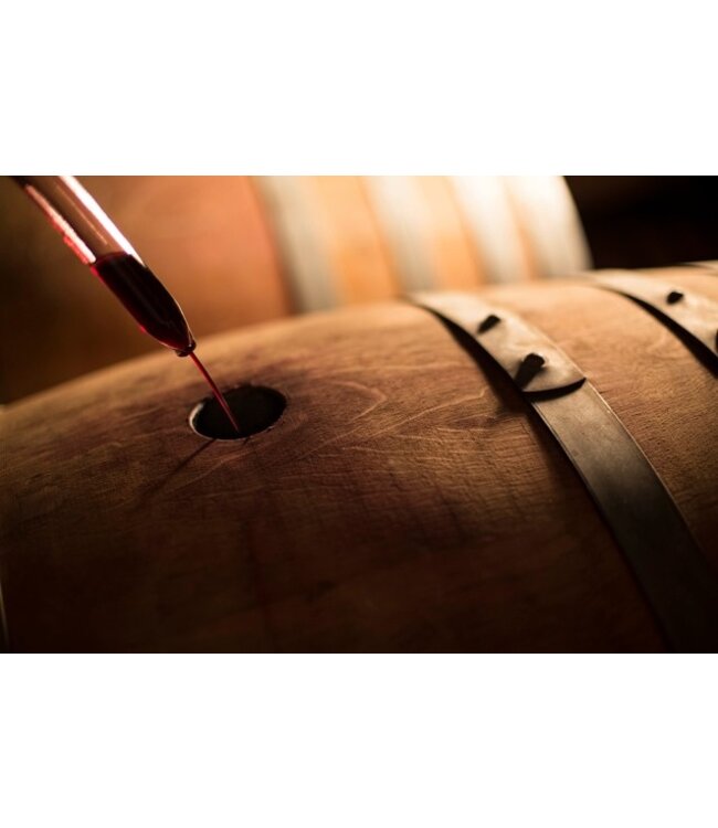 Excelsior Cabernet Sauvignon WO Robertson