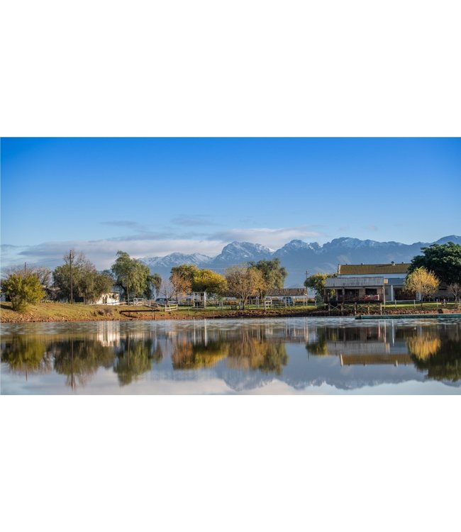 Excelsior Robertson Norah Chardonnay