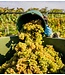 Weingut Gritsch - Wachau Oostenrijk Gritsch Grüner Veltliner Steinporz