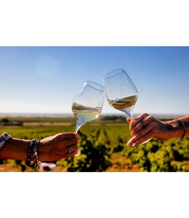 Lafage Narassa Cotes Catalanes IGP