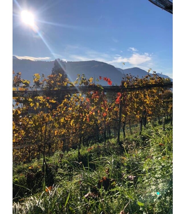 Tenuta San Giorgio Manzoni Bianco IGT del Veneto