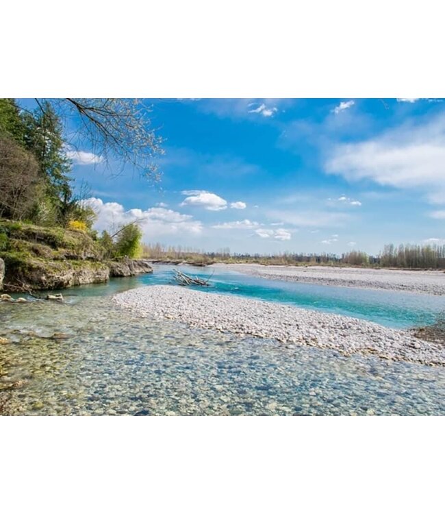 Tenuta San Giorgio Manzoni Bianco IGT del Veneto