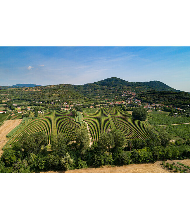 Tenuta San Giorgio Manzoni Bianco IGT del Veneto