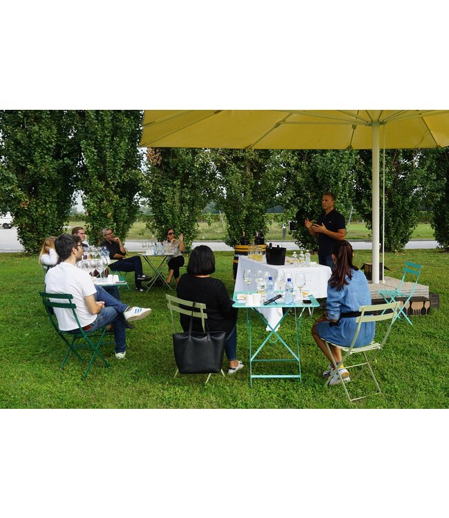 Tenuta San Giorgio Manzoni Bianco IGT del Veneto