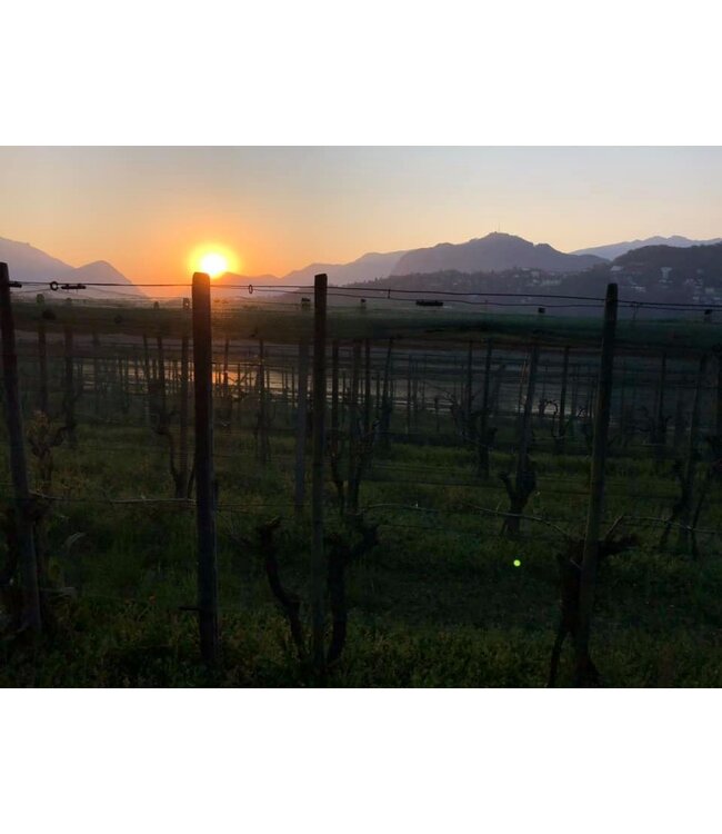 Tenuta San Giorgio Manzoni Bianco IGT del Veneto