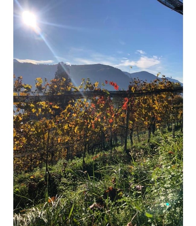 Tenuta San Giorgio Prosecco Ripe Frondose DOC Treviso