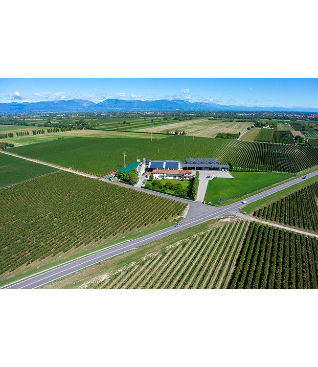 Tenuta San Giorgio Prosecco Ripe Frondose DOC Treviso