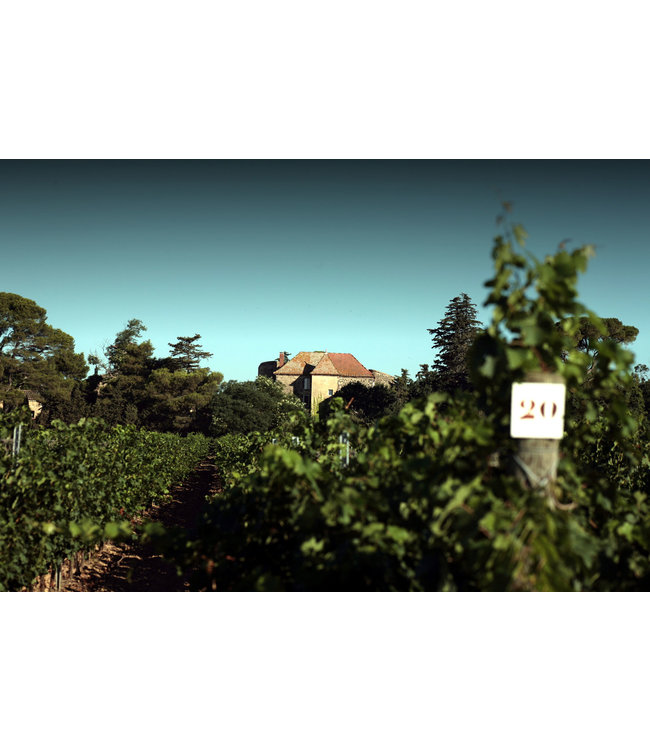 Maison Robert Vic Delicate Rosé IGP