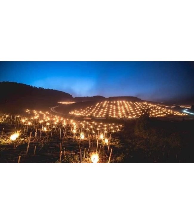 Ropiteau Bourgogne Pinot Noir