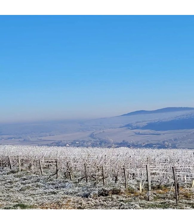 Ropiteau Freres AC. Chablis