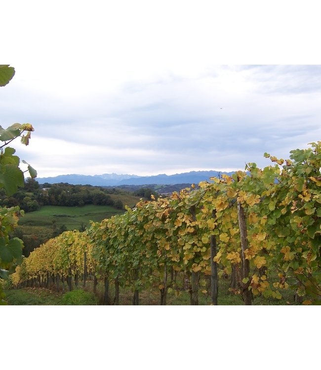 Ferret IGP Cotes de Gascogne Chardonnay