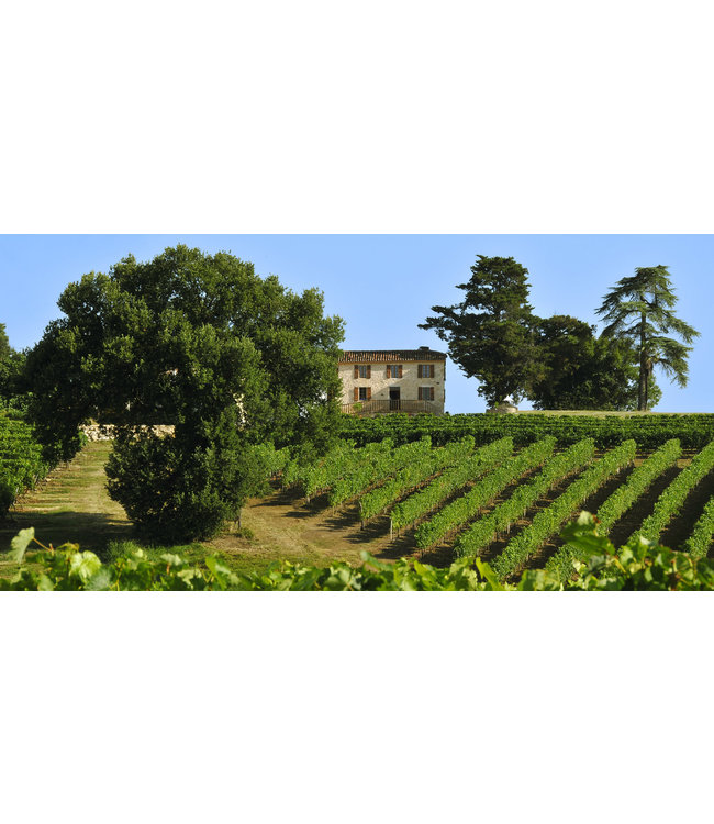 Ferret IGP Cotes de Gascogne Sauvignon Blanc