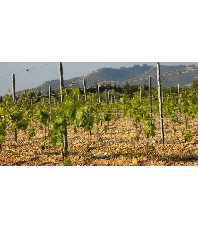 Domaine Brunely Gigondas Tresor