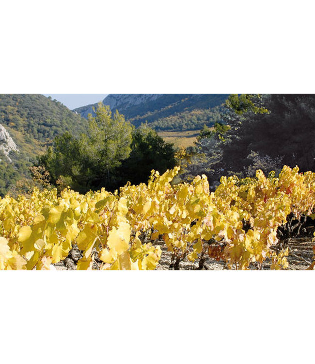 Domaine Brunely Cotes du Rhone Hommage