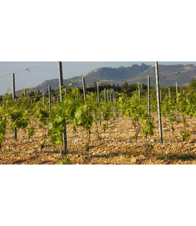 Domaine Brunely Chateaueuf du Pape