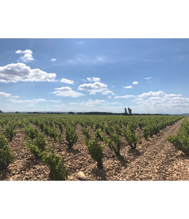 Domaine Brunely Chateaueuf du Pape