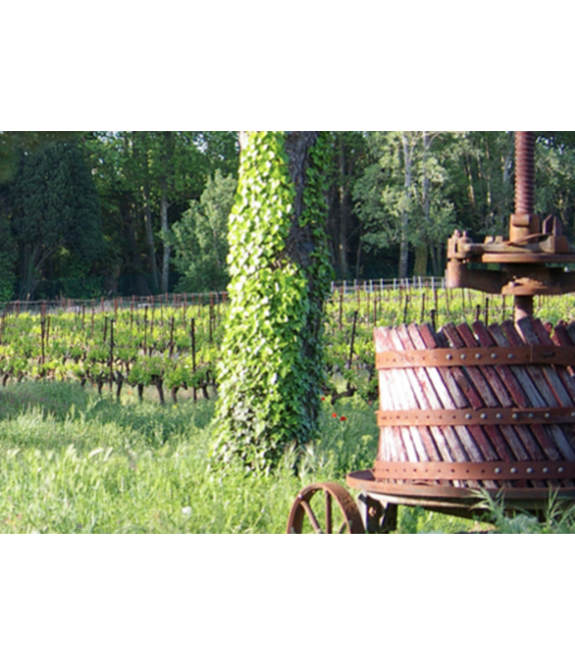 Domaine Brunely Cotes du Rhone Blanc