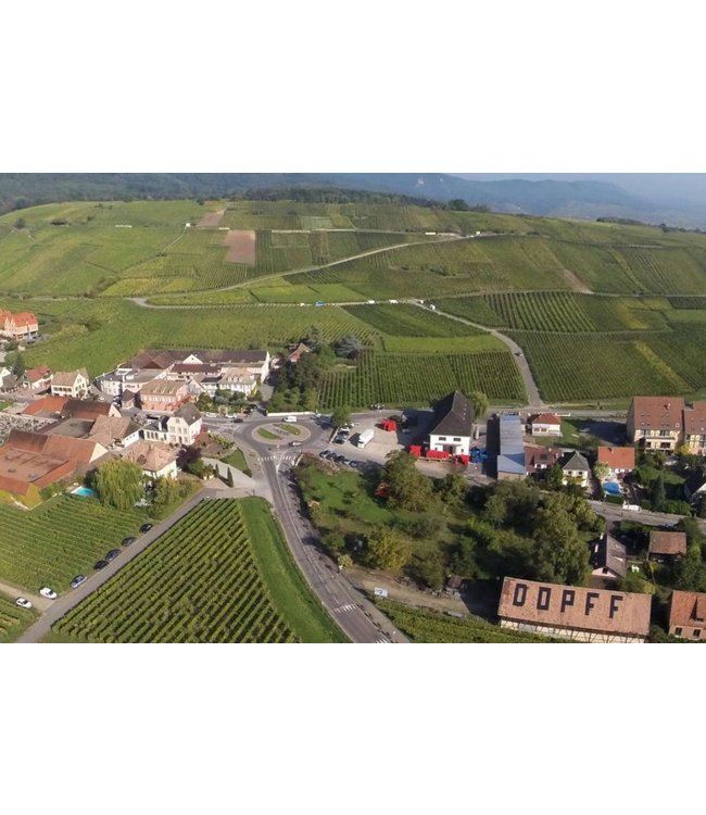 Dopff au Moulin Rouge des Cerfs Pinot Noir