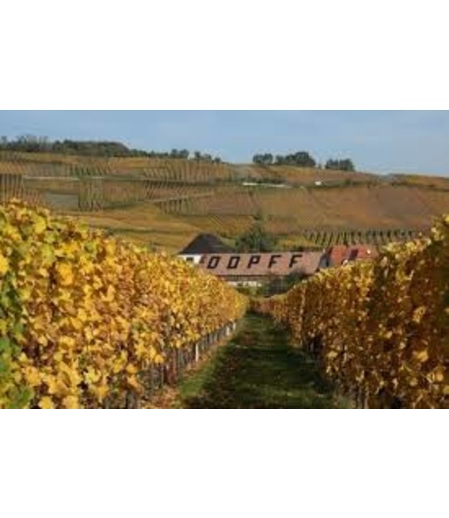 Dopff au Moulin Riesling Grand Cru Schoenenbourg