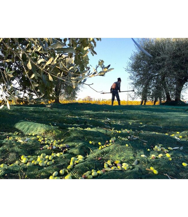 Villa Trasqua Fanatico Chianti Classico Riserva Biologisch