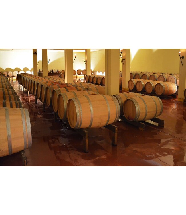 Villa Trasqua Fanatico Chianti Classico Riserva duurzaam geteeld