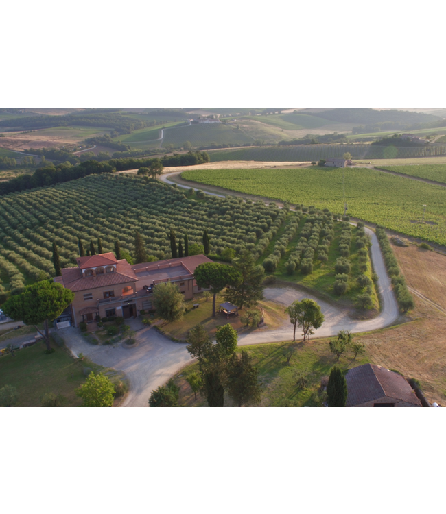 Villa Trasqua Chianti Classico duurzaam geteeld