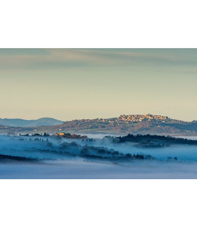Villa Trasqua Chianti Classico duurzaam geteeld