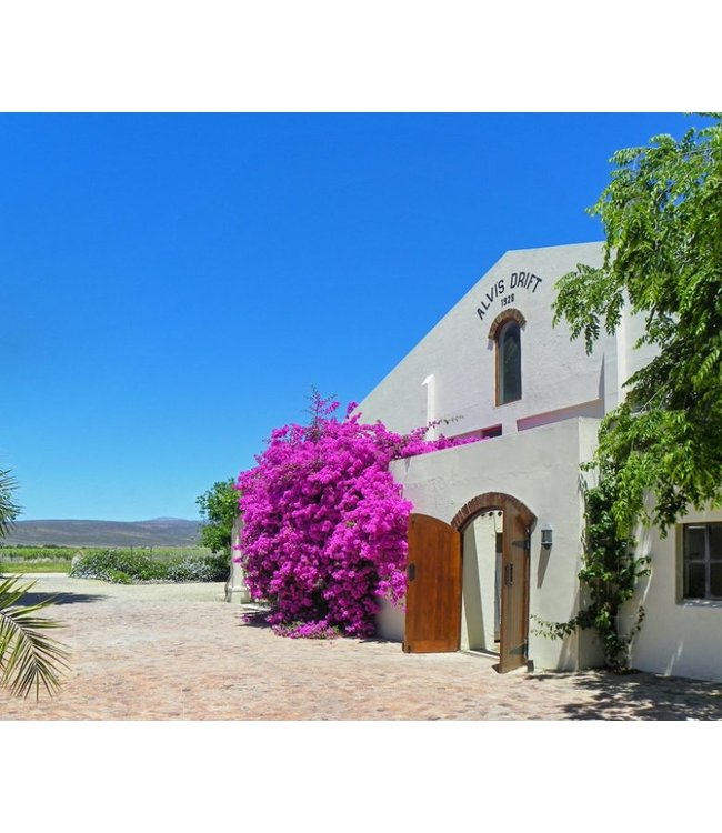 Alvi's Drift Albertus Viljoen Red Bismarck