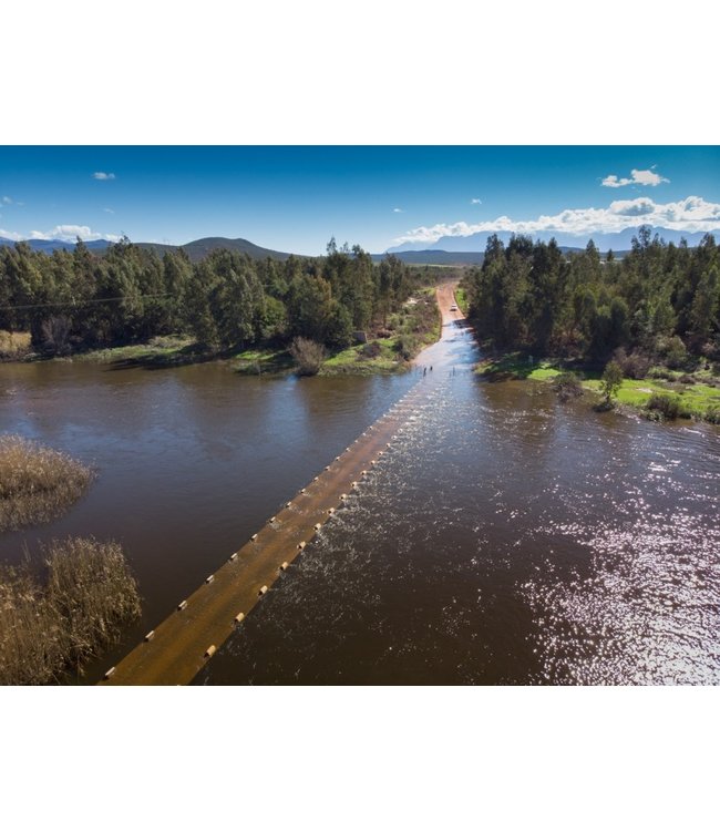 Alvi's Drift 221 Chenin Blanc