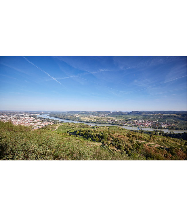 Winzer Krems Kellermeister Franz 3 Cuvee