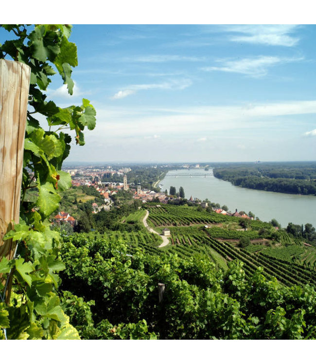 Winzer Krems Kellermeister Franz 3 Cuvee