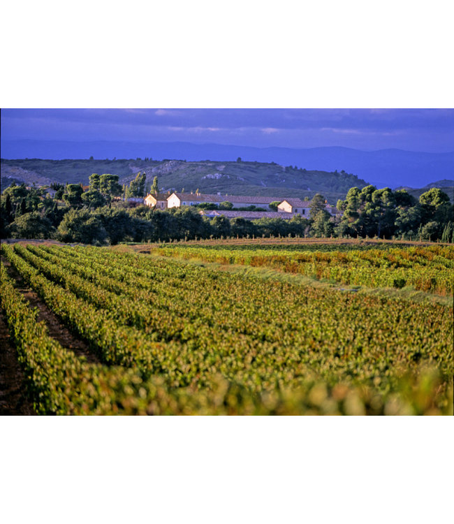 A D'Aussieres Red Blend Pays D'Oc Rothschild Lafite