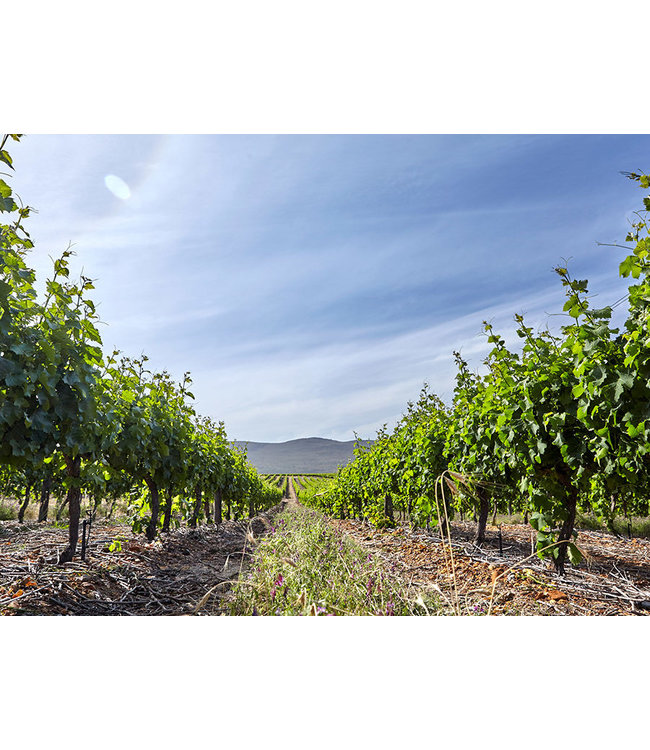 Benguela Cove Estate Sauvignon Blanc