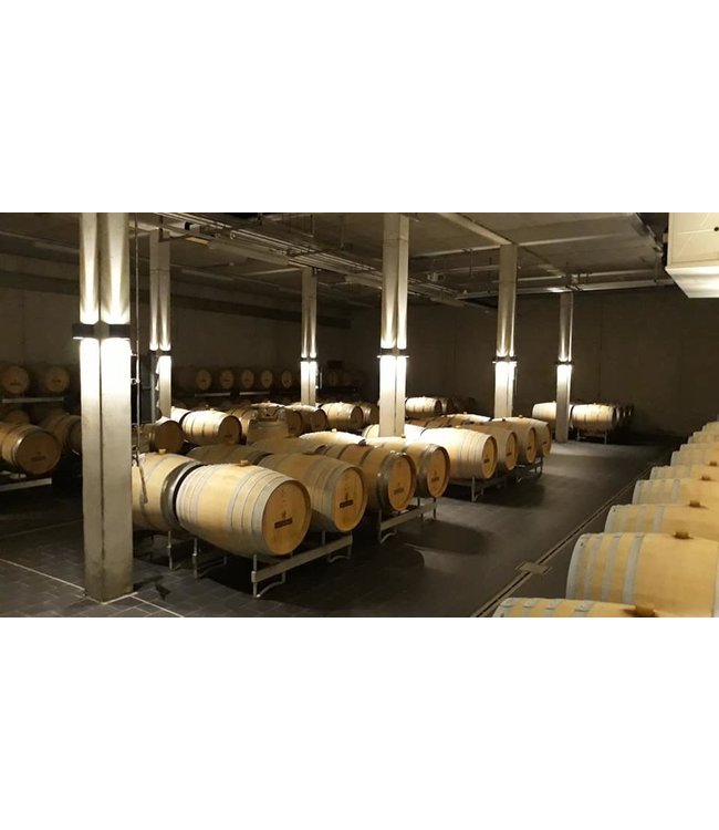 Sasbacher Limburg Rivaner Kabinett Trocken