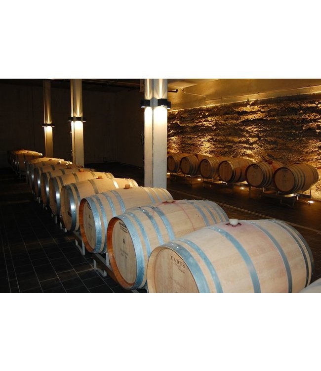 Sasbacher Limburg Rivaner Kabinett Trocken