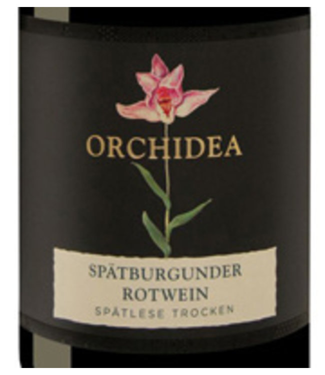 Sasbacher Orchidea Spatburgunder Spatlese Trocken