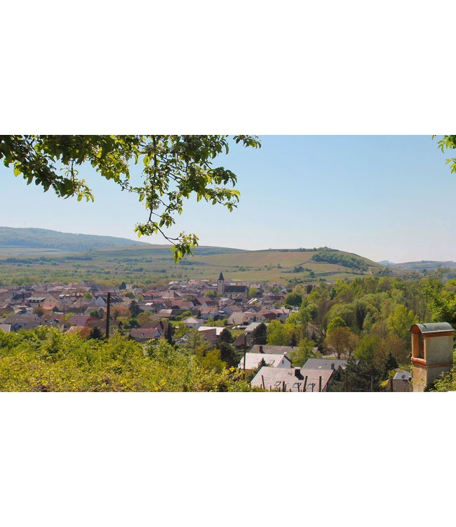 Sasbacher Rote Halde Spatburgunder Jagerwein