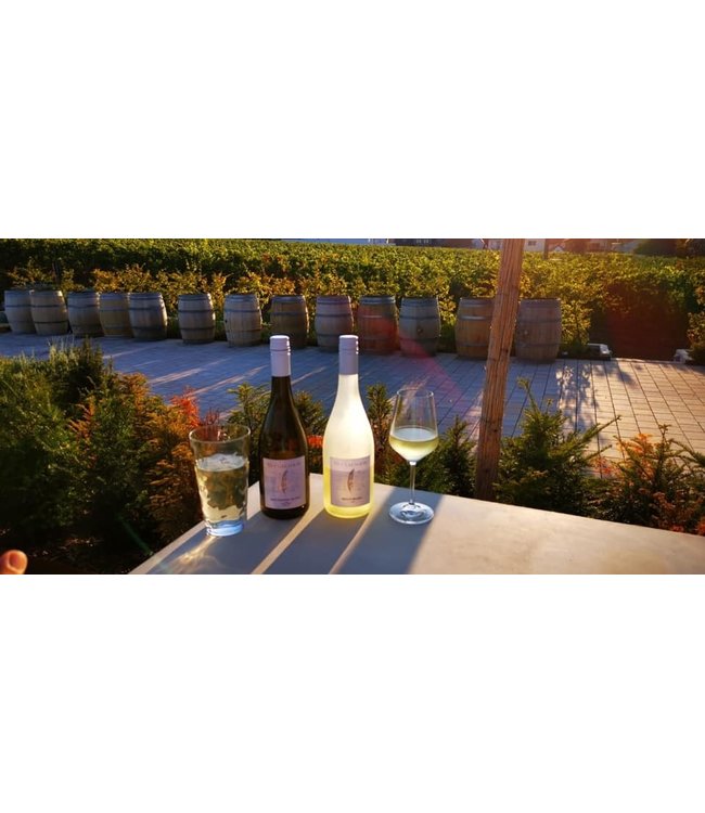 Studier Grauburgunder Pfalz Biologisch