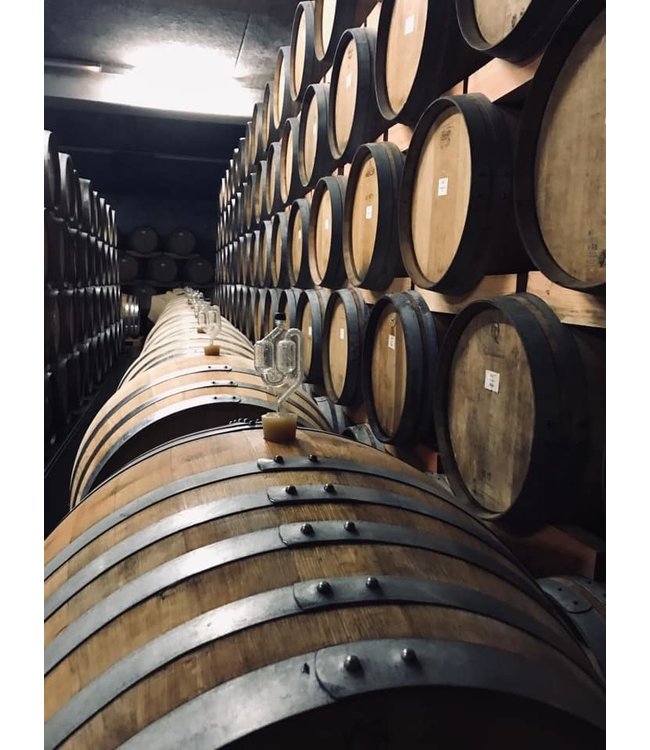 Studier Grauburgunder Pfalz Biologisch