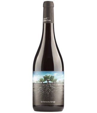 Vintae - Rioja Spanje Garnacha Salvaje Moncayo