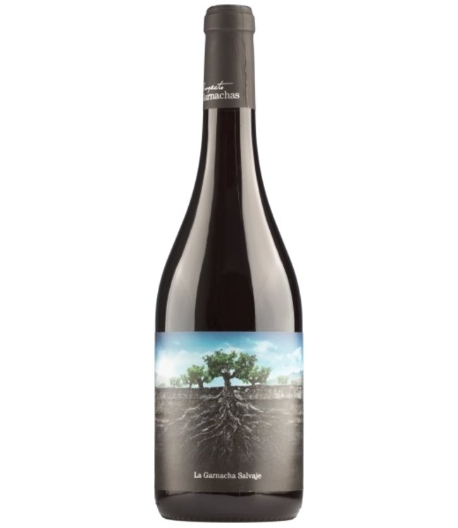 Garnacha Salvaje Moncayo Navarra