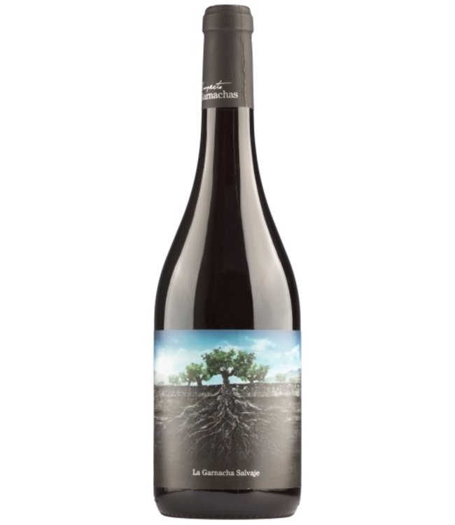 Garnacha Salvaje Moncayo