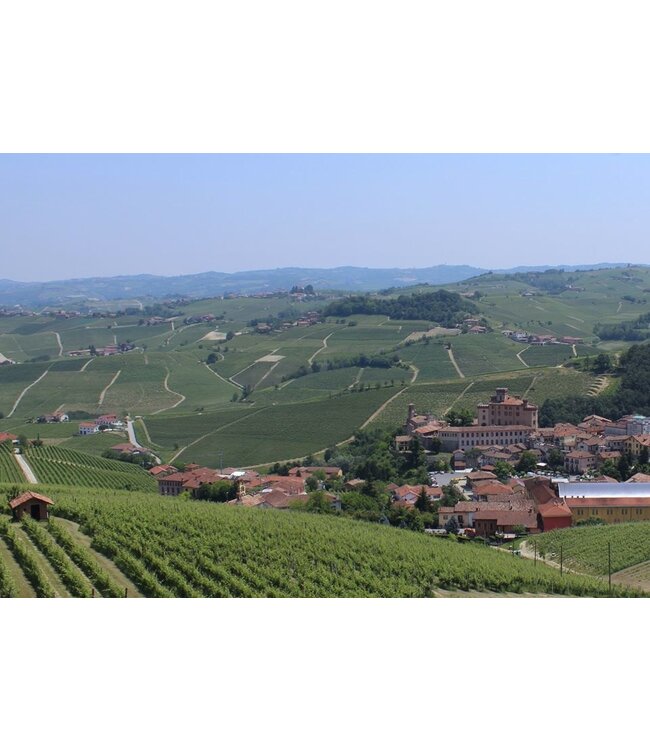 Vite Colte Villata Roero Arneis DOC