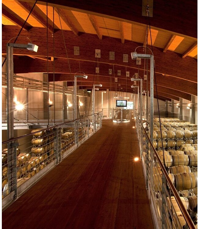 Vite Colte Villata Roero Arneis DOC