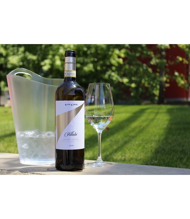 Vite Colte Villata Roero Arneis DOC