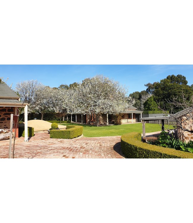 Langmeil Three Gardens Viognier Marsanne Roussanne