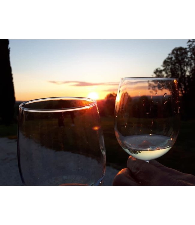 Tavignano Verdicchio Classico Superiore biologisch