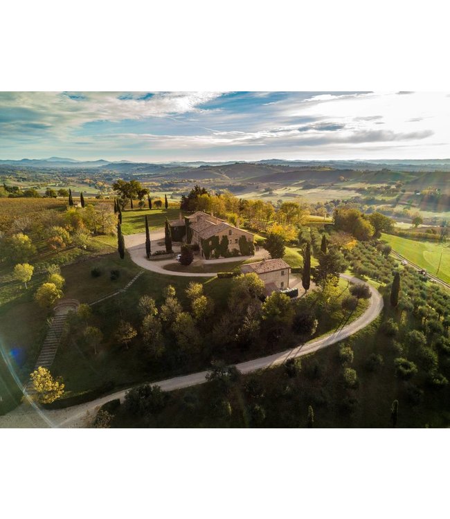 Tavignano Verdicchio Classico Superiore biologisch