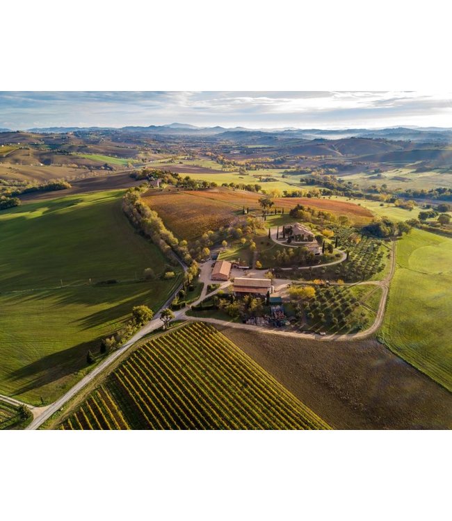 Tavignano Verdicchio Classico Superiore biologisch