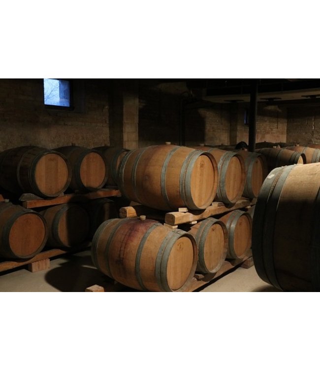 Tavignano Verdicchio Classico Superiore biologisch